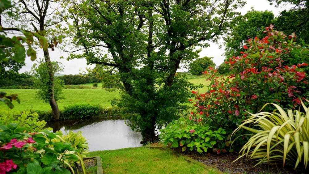Chouchoutez votre jardin