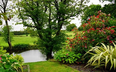 Chouchoutez votre jardin