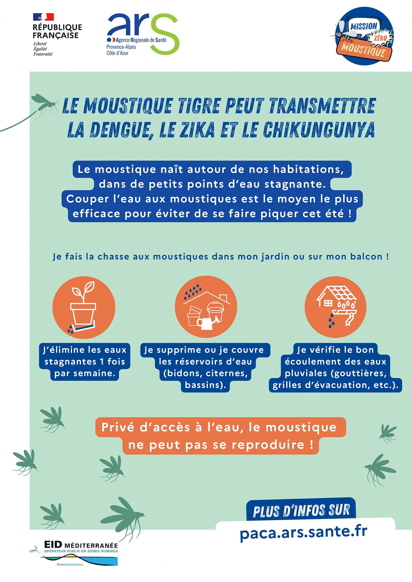 Image fiche préventive sur le moustique tigre suite