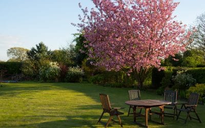 Entretien des jardins : notre équipe de professionnels à votre disposition