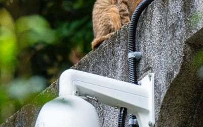 La CNIL précise les règles des systèmes de vidéosurveillance